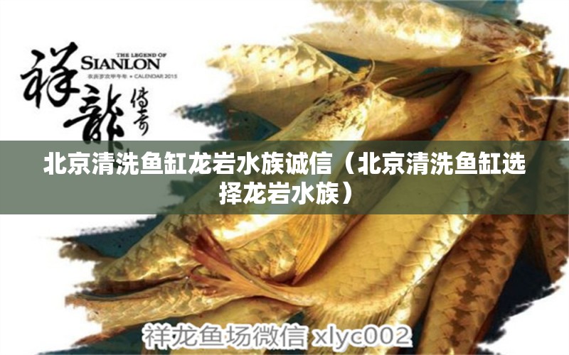 北京清洗魚缸龍巖水族誠信（北京清洗魚缸選擇龍巖水族）