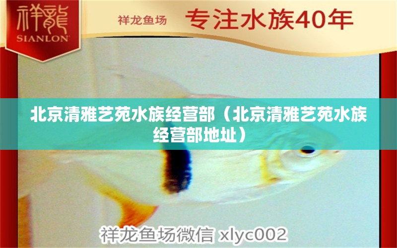 北京清雅藝苑水族經(jīng)營部（北京清雅藝苑水族經(jīng)營部地址）