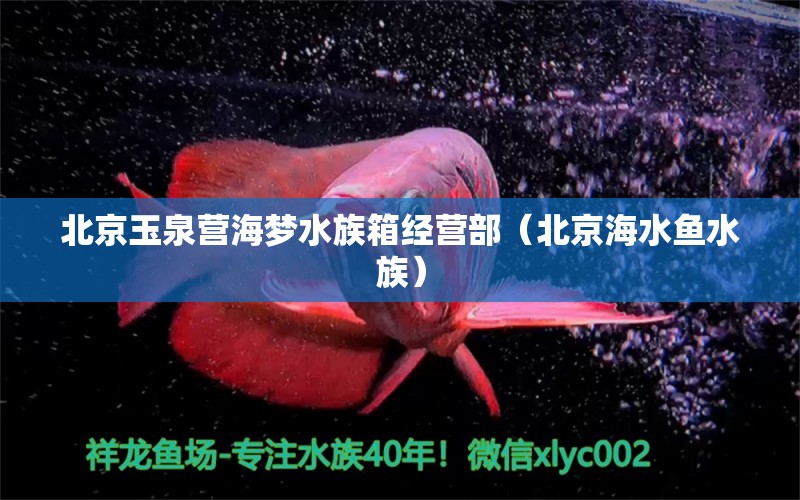 北京玉泉營海夢水族箱經(jīng)營部（北京海水魚水族）