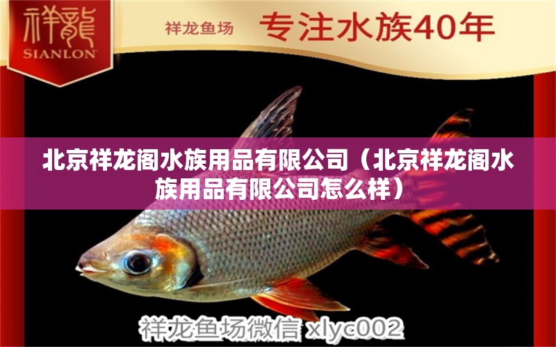 北京祥龍閣水族用品有限公司（北京祥龍閣水族用品有限公司怎么樣）