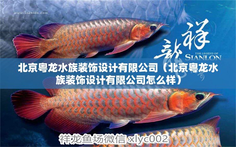 北京粵龍水族裝飾設(shè)計有限公司（北京粵龍水族裝飾設(shè)計有限公司怎么樣） 全國水族館企業(yè)名錄