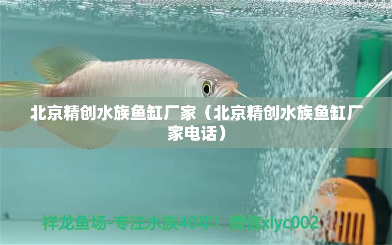 北京精創(chuàng)水族魚(yú)缸廠家（北京精創(chuàng)水族魚(yú)缸廠家電話）