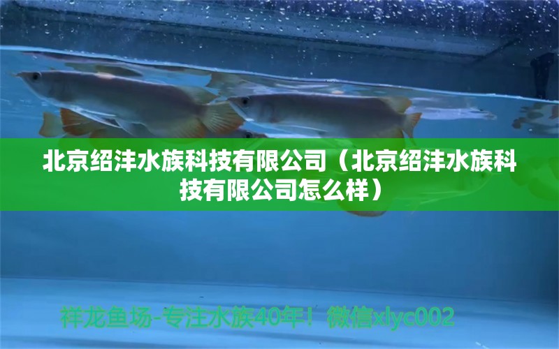 北京紹灃水族科技有限公司（北京紹灃水族科技有限公司怎么樣）