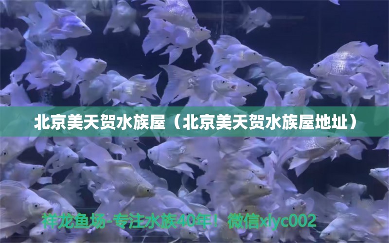 北京美天賀水族屋（北京美天賀水族屋地址） 全國水族館企業(yè)名錄