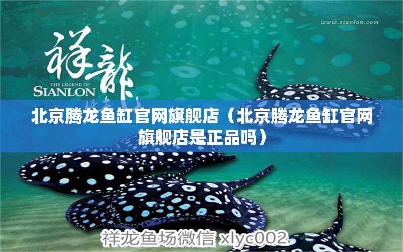 北京騰龍魚缸官網(wǎng)旗艦店（北京騰龍魚缸官網(wǎng)旗艦店是正品嗎） 廣州觀賞魚批發(fā)市場