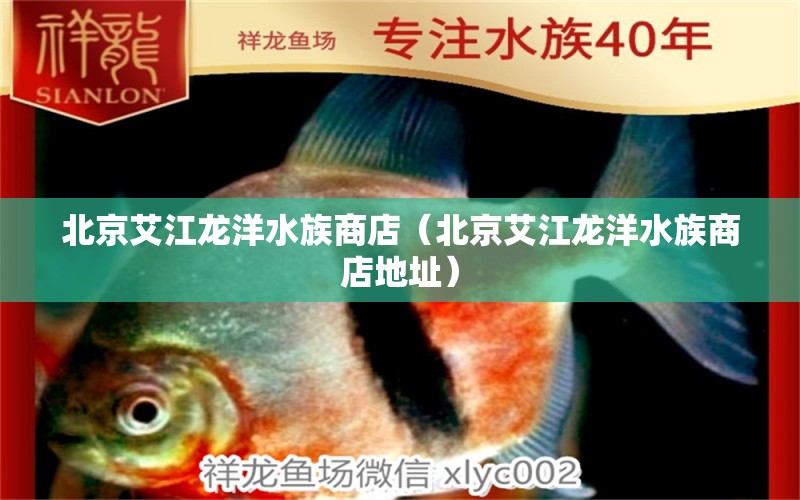 北京艾江龍洋水族商店（北京艾江龍洋水族商店地址）