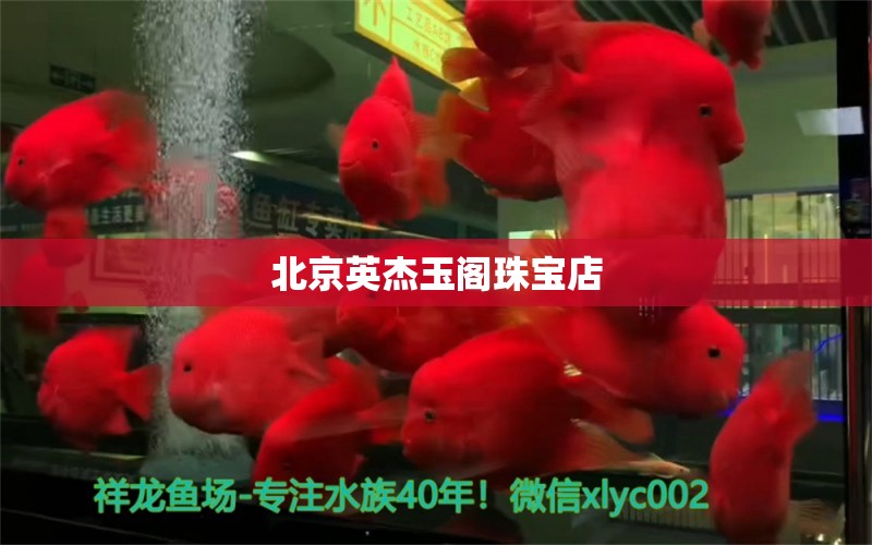 北京英杰玉閣珠寶店 全國水族館企業(yè)名錄