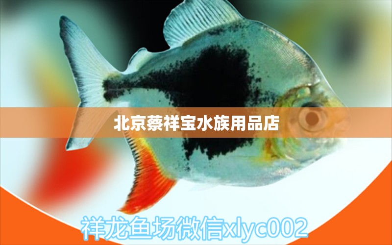 北京蔡祥寶水族用品店