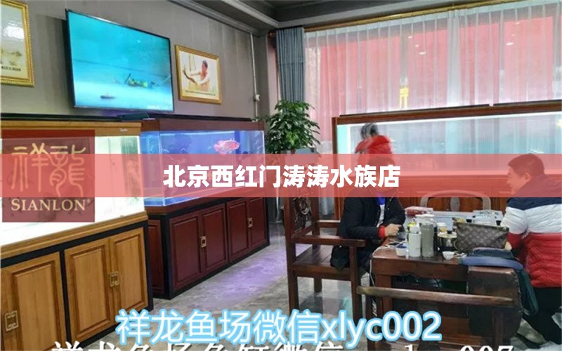 北京西紅門濤濤水族店 全國水族館企業(yè)名錄