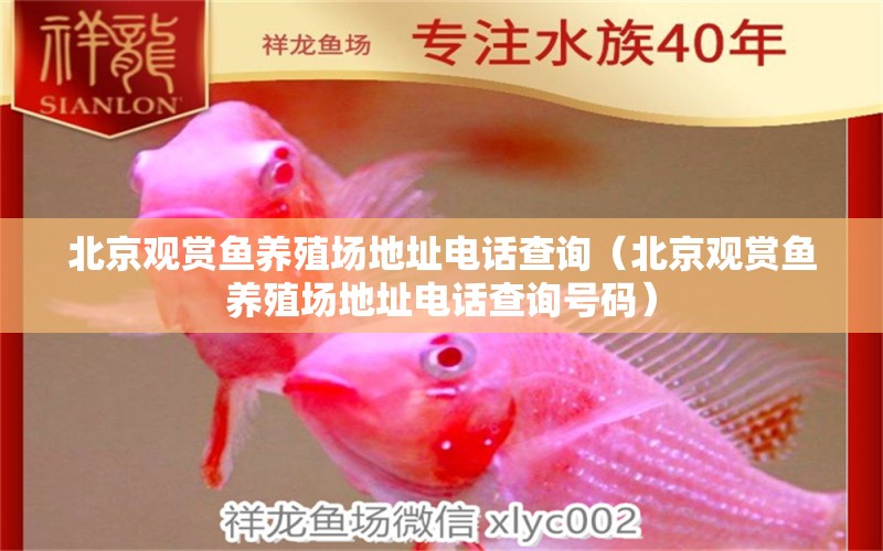 北京觀賞魚養(yǎng)殖場地址電話查詢（北京觀賞魚養(yǎng)殖場地址電話查詢號碼）