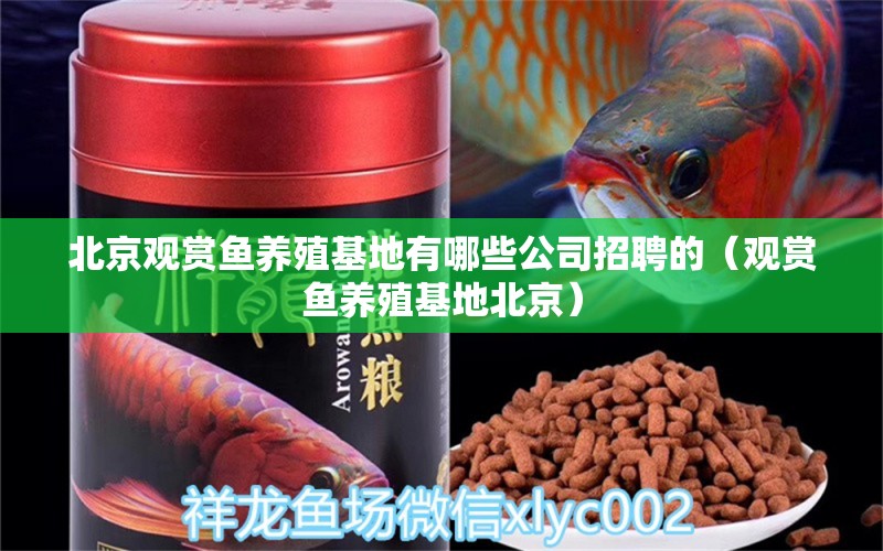 北京觀賞魚養(yǎng)殖基地有哪些公司招聘的（觀賞魚養(yǎng)殖基地北京）