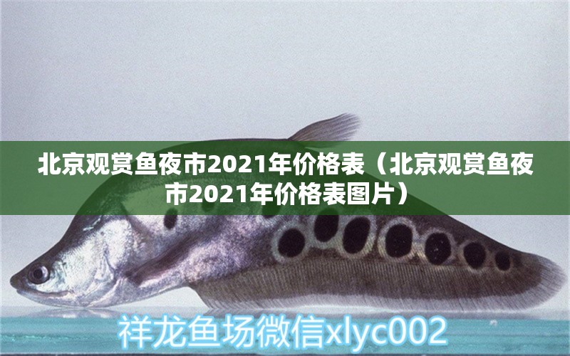 北京觀賞魚(yú)夜市2021年價(jià)格表（北京觀賞魚(yú)夜市2021年價(jià)格表圖片） 元寶鯽