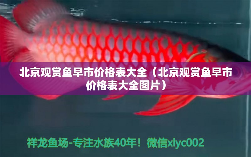 北京觀賞魚早市價(jià)格表大全（北京觀賞魚早市價(jià)格表大全圖片） 大湖紅龍魚