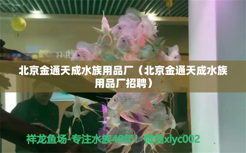 北京金通天成水族用品廠（北京金通天成水族用品廠招聘）