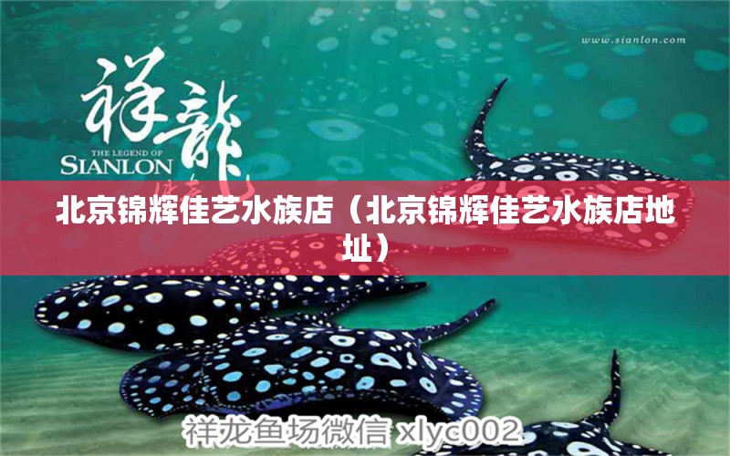 北京錦輝佳藝水族店（北京錦輝佳藝水族店地址） 全國水族館企業(yè)名錄