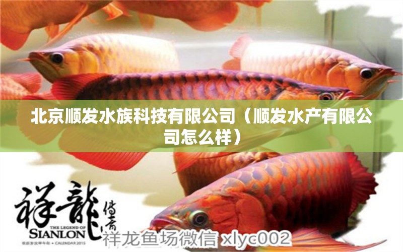 北京順發(fā)水族科技有限公司（順發(fā)水產(chǎn)有限公司怎么樣）