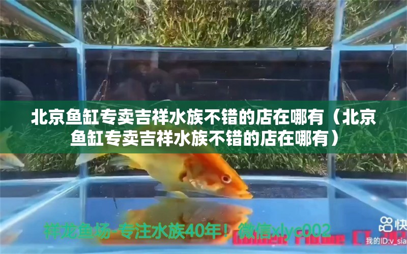 北京魚缸專賣吉祥水族不錯(cuò)的店在哪有（北京魚缸專賣吉祥水族不錯(cuò)的店在哪有）