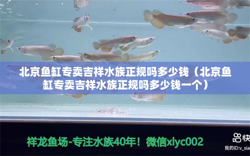 北京魚缸專賣吉祥水族正規(guī)嗎多少錢（北京魚缸專賣吉祥水族正規(guī)嗎多少錢一個(gè)）