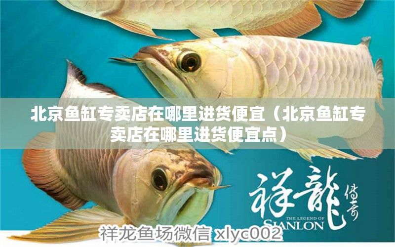 北京魚缸專賣店在哪里進(jìn)貨便宜（北京魚缸專賣店在哪里進(jìn)貨便宜點）