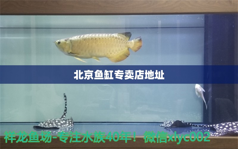 北京魚缸專賣店地址