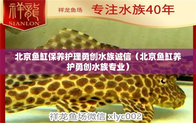 北京魚缸保養(yǎng)護(hù)理勇創(chuàng)水族誠信（北京魚缸養(yǎng)護(hù)勇創(chuàng)水族專業(yè)）