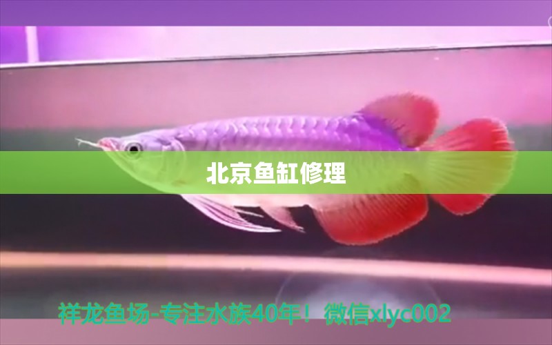 北京魚缸修理