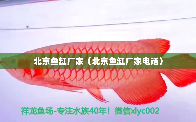 北京魚缸廠家（北京魚缸廠家電話）