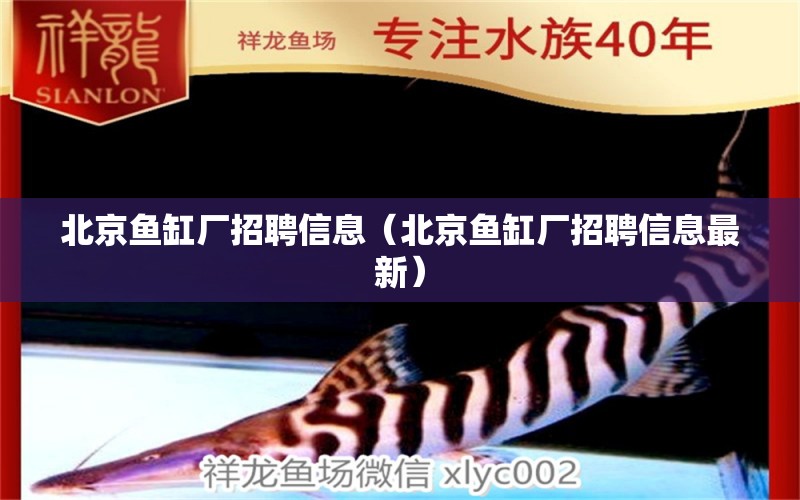 北京魚缸廠招聘信息（北京魚缸廠招聘信息最新） 其他品牌魚缸