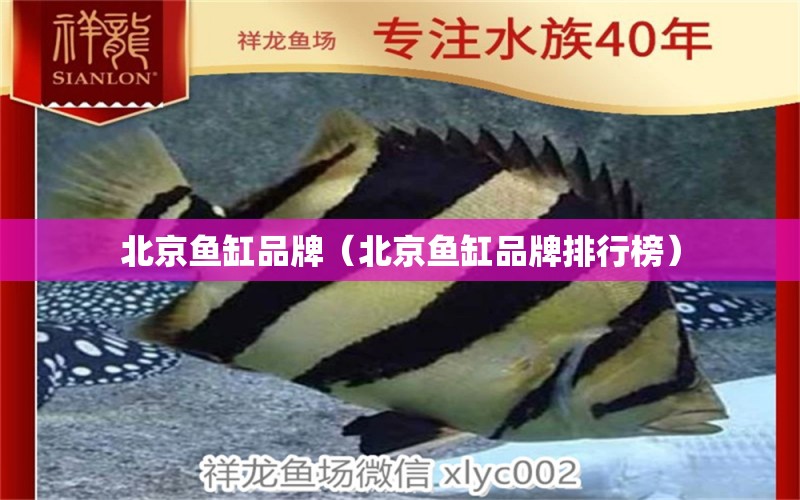 北京魚缸品牌（北京魚缸品牌排行榜）