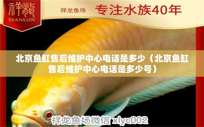 北京魚(yú)缸售后維護(hù)中心電話是多少（北京魚(yú)缸售后維護(hù)中心電話是多少號(hào)）