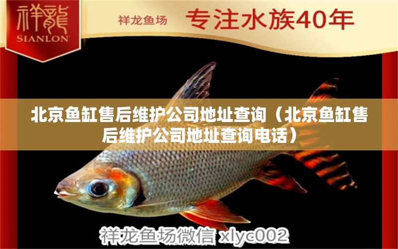 北京魚(yú)缸售后維護(hù)公司地址查詢（北京魚(yú)缸售后維護(hù)公司地址查詢電話）