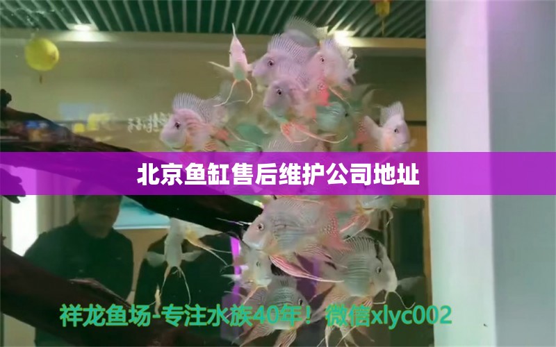 北京魚缸售后維護公司地址 其他品牌魚缸