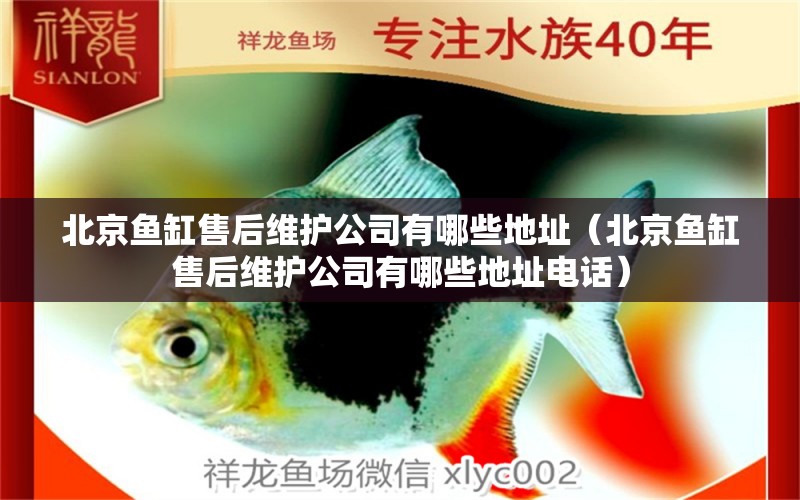 北京魚(yú)缸售后維護(hù)公司有哪些地址（北京魚(yú)缸售后維護(hù)公司有哪些地址電話）