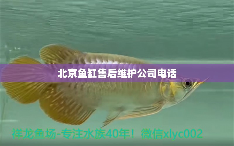 北京魚缸售后維護公司電話