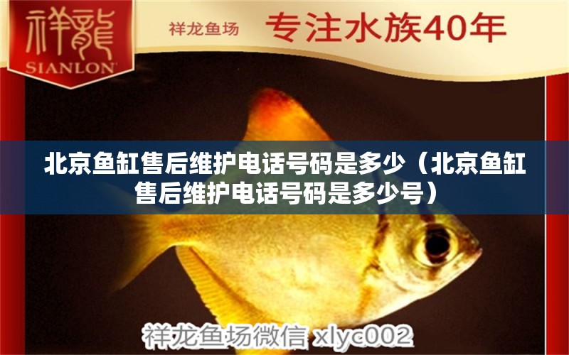 北京魚(yú)缸售后維護(hù)電話號(hào)碼是多少（北京魚(yú)缸售后維護(hù)電話號(hào)碼是多少號(hào)）