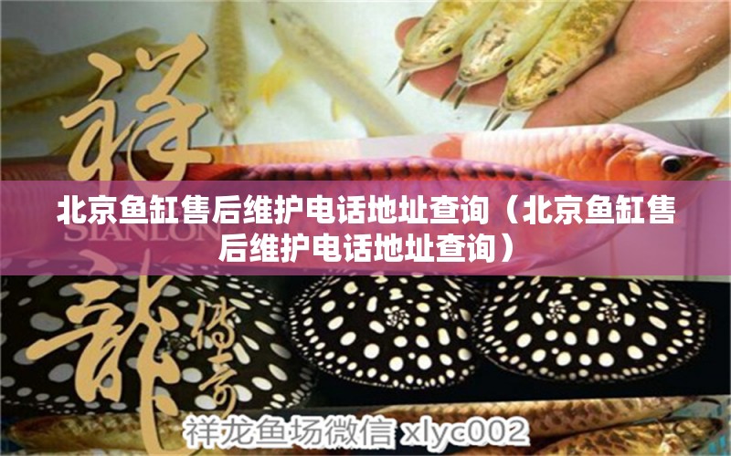 北京魚(yú)缸售后維護(hù)電話地址查詢（北京魚(yú)缸售后維護(hù)電話地址查詢）