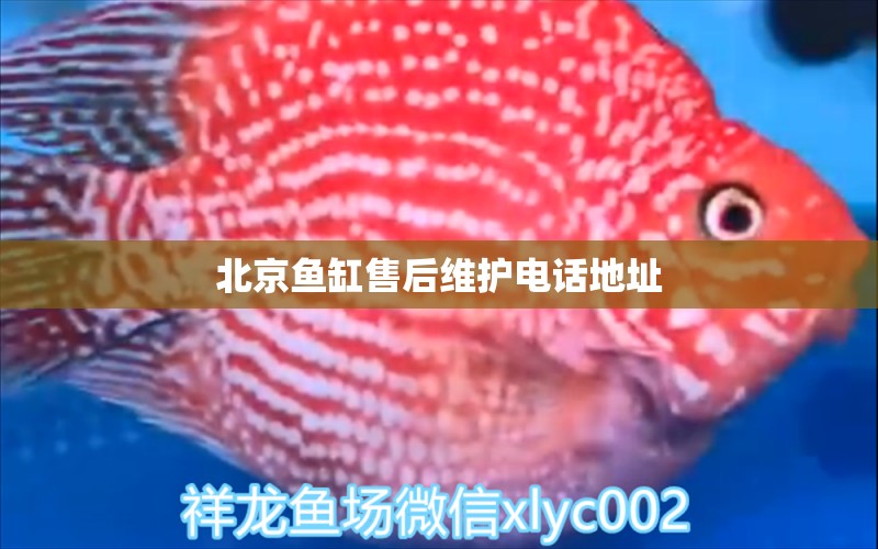 北京魚缸售后維護電話地址