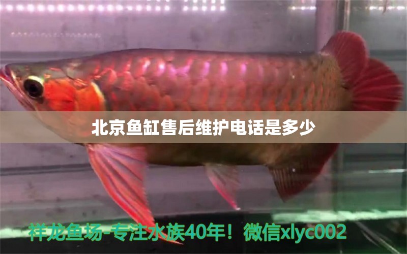 北京魚(yú)缸售后維護(hù)電話是多少 其他品牌魚(yú)缸