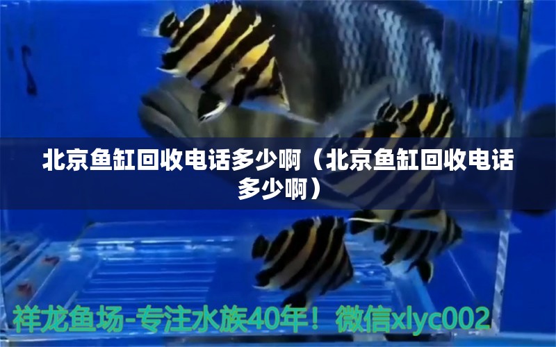 北京魚缸回收電話多少?。ū本~缸回收電話多少?。? title=