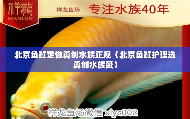 北京魚缸定做勇創(chuàng)水族正規(guī)（北京魚缸護理選勇創(chuàng)水族贊）