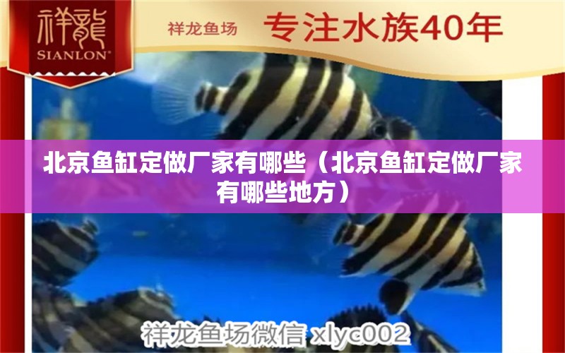 北京魚缸定做廠家有哪些（北京魚缸定做廠家有哪些地方） 其他品牌魚缸