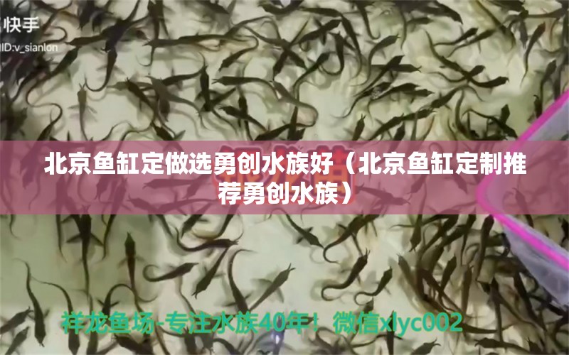 北京魚缸定做選勇創(chuàng)水族好（北京魚缸定制推薦勇創(chuàng)水族）