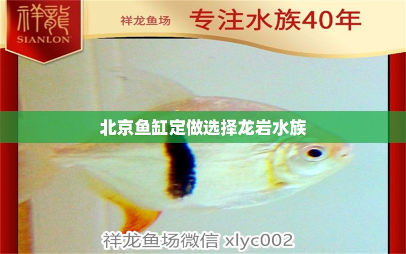 北京魚缸定做選擇龍巖水族