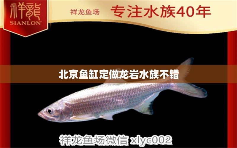 北京魚缸定做龍巖水族不錯