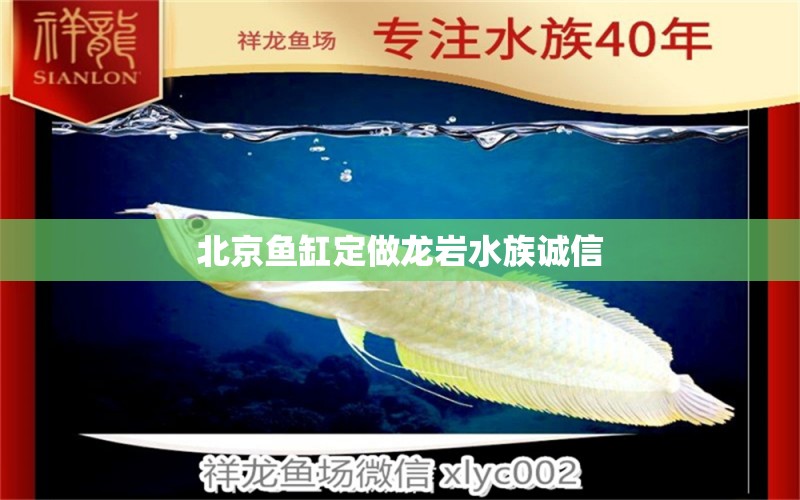 北京魚缸定做龍巖水族誠信