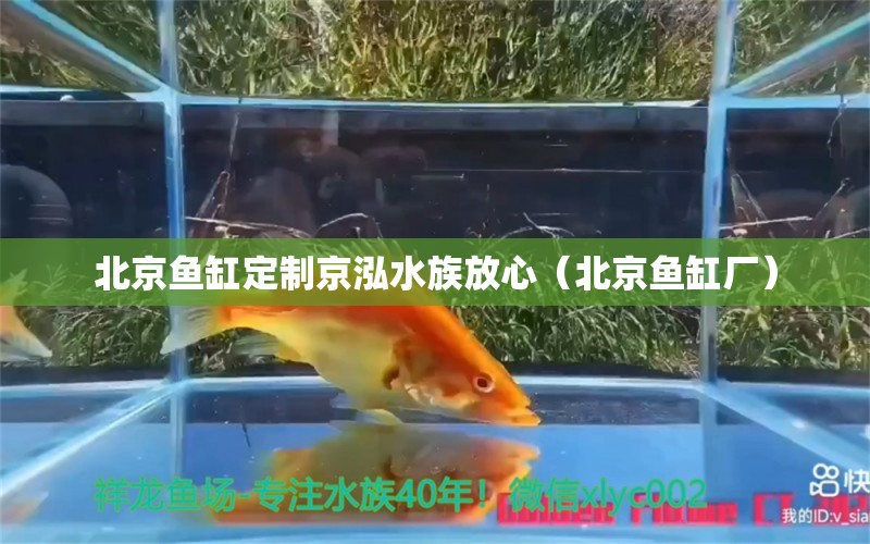 北京魚(yú)缸定制京泓水族放心（北京魚(yú)缸廠）