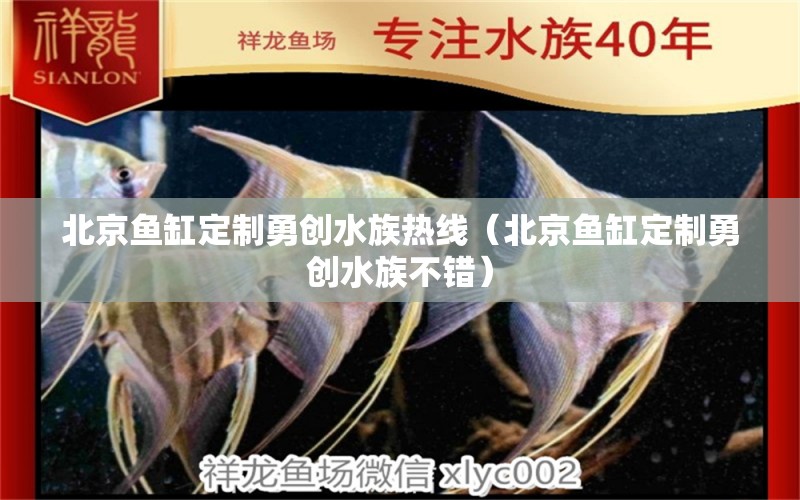 北京魚缸定制勇創(chuàng)水族熱線（北京魚缸定制勇創(chuàng)水族不錯）