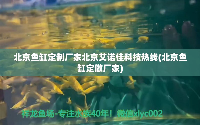 北京魚缸定制廠家北京艾諾佳科技熱線(北京魚缸定做廠家) 速倍妥魚糧魚藥