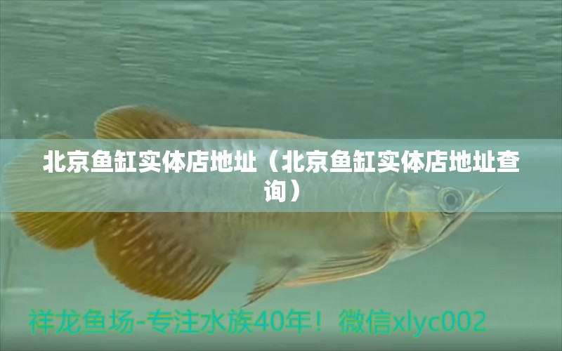 北京魚缸實體店地址（北京魚缸實體店地址查詢） 其他品牌魚缸