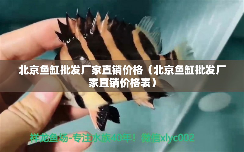 北京魚缸批發(fā)廠家直銷價格（北京魚缸批發(fā)廠家直銷價格表）